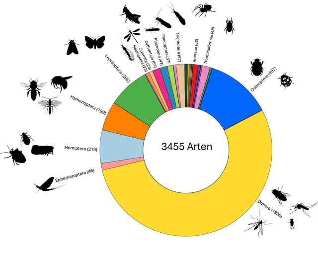 Ein Kreisdiagramm zur Darstellung der gefundenen Insektenarten. | Foto: Universität Innsbruck