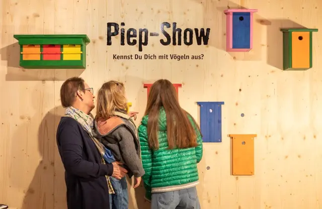 In der "Piep-Show" kann die Welt der Vögel erkundet werden. | Foto: Michael Koopmanns