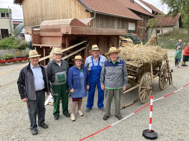 Am Tag des Denkmals am 28. September 2025 wurde in der Mühl ein Rien das Rad der Zeit zurückgedreht und eine Vorführung des Erntedreschens anno dazumals gezeigt.  | Foto: Hofinger