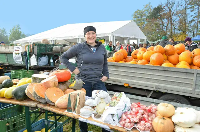 "Am Himmel" präsentieren auch heuer wieder zahlreiche steirische Bauern ihre Kürbise.  | Foto: Kuratorium Wald