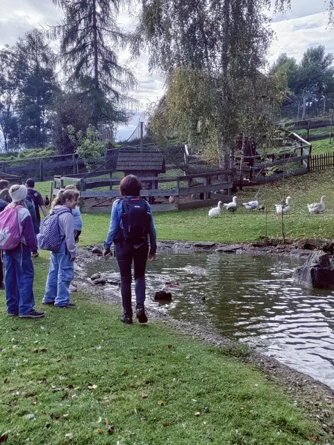 Die 1b der MS Althofen konnte so mit eigenen Augen erfahren, wie artgerechtes Leben für die Tiere aussehen kann. | Foto: MS Althofen