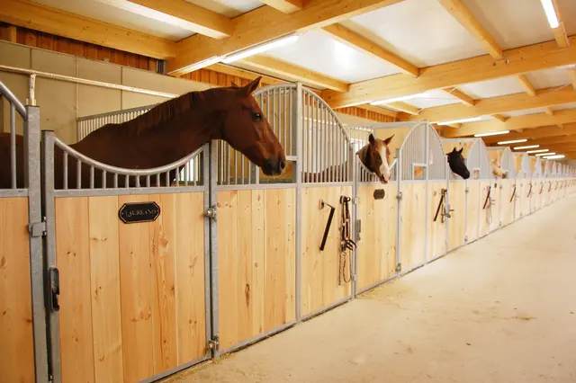 15 pferdefreundliche 30 m2 Boxen mit Paddock stehen den Vierbeiner zu Verfügung und werden täglich gereinigt. | Foto: Dietmar Hammerl