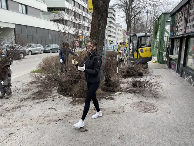 Ziel ist es, Pflanzen aus Wechselbeeten vor der Entsorgung zu retten und engagierten Gärtnern im Bezirk zur Begrünung des öffentlichen Raums zur Verfügung zu stellen. | Foto: Sylvia Hibler