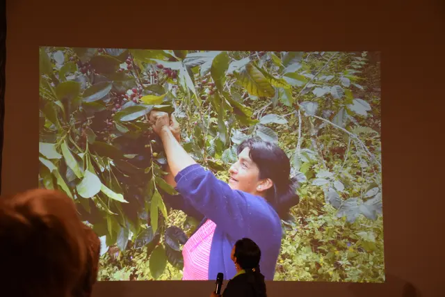 Foto: Alexandra Goll