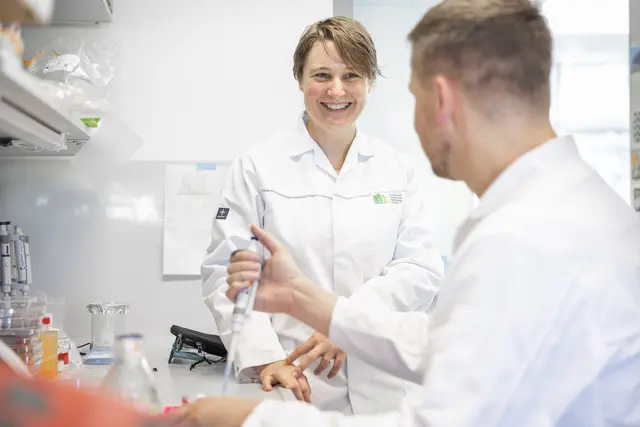 Die Ergebnisse von Siegerts Forschungen sind international publiziert und resultierten auch in einer Patenteinreichung, die zu der Gründung des Start-Ups Syntropic Medical GmbH mit Sitz im XISTA Science Park in Klosterneuburg führten. | Foto: ISTA