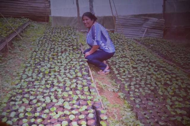 Foto: Alexandra Goll