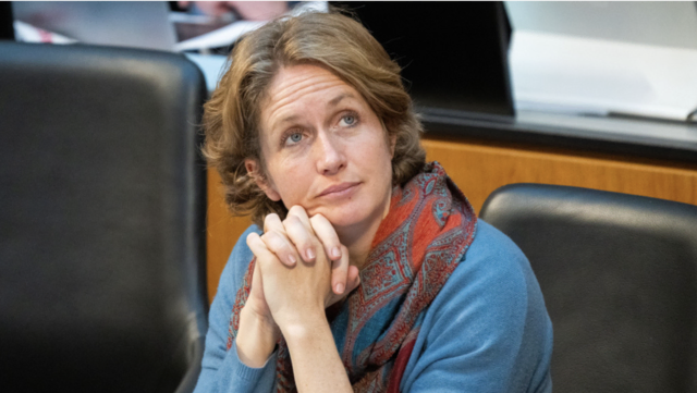 Sie werde sich nun nach knapp acht Jahren wieder "aus einer unabhängigen Position heraus für Menschenrechte und gegen Korruption einsetzen". | Foto: APA/GEORG HOCHMUTH
