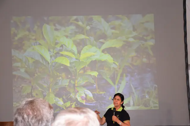 Foto: Alexandra Goll