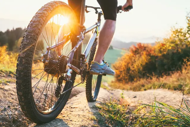Radtourismus soll in Kärnten künftig weiter in den Vordergrund rücken. (Symbolfoto) | Foto: stock.adobe.com/at/Soloviova Liudmyla
