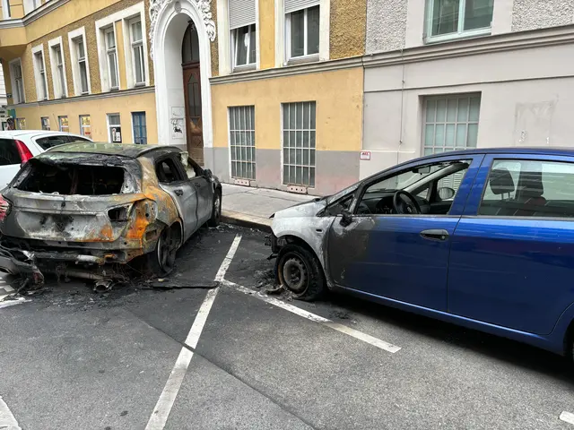 Links: Das Fahrzeug in der Unteren Weißgerberstraße, das in Brand geriet. Rechts: Das Auto, das als Kollateralschaden beschädigt wurde. | Foto: MeinBezirk
