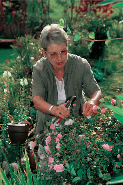 Barbara Frischmuth war leidenschaftliche Schriftstellerin und Gärtnerin. | Foto: Herbert Pirker