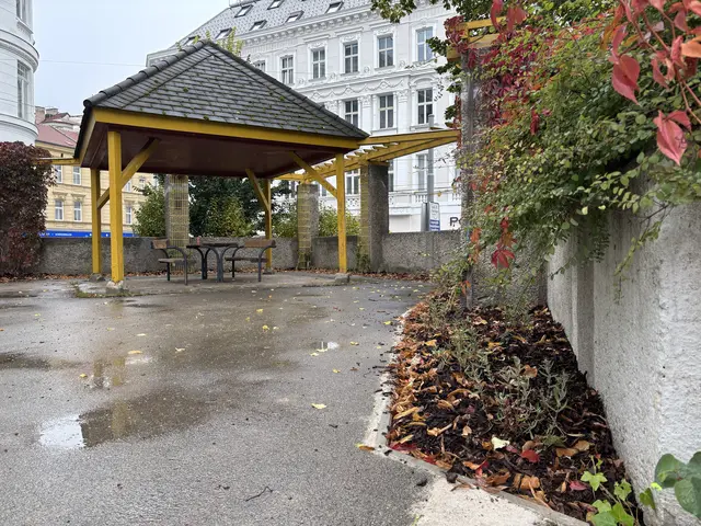 Am neuen Rankgitter werden künftig Waldreben in die Höhe wachsen. Der Boden entlang der Ummauerung des Pavillons wurde entsiegelt, um Platz für ein neues Bewässerungssystem und Beete zu schaffen. | Foto: Matthias Pandrea/MeinBezirk