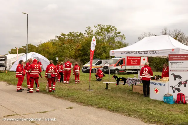 Foto: www.cine-motion.at / Ivanek