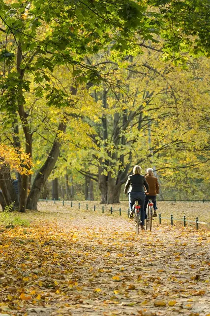 Regelmäßiges Radfahren stärkt Herz, Kreislauf und Immunsystem, und sorgt für frische Energie im Alltag. | Foto: Pixabay