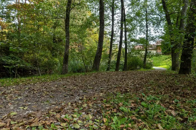 Foto: Karl Friesnegg