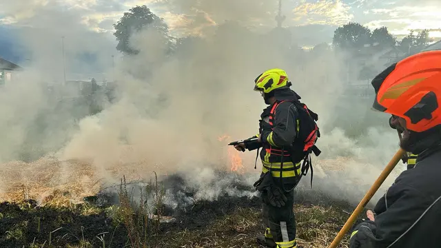 Florianis aus dem Bezirk Amstetten üben eine Waldbrandbekämpfung. | Foto: Bfkdo Amstetten