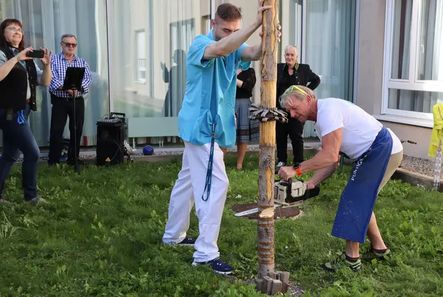 Der Baum wurde fachmännisch gefällt | Foto: Gerhard Langmann