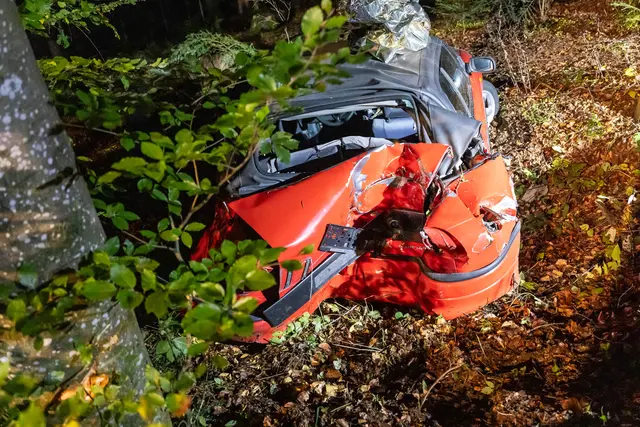 Foto: TEAM FOTOKERSCHI / FRANZ PLECHINGER