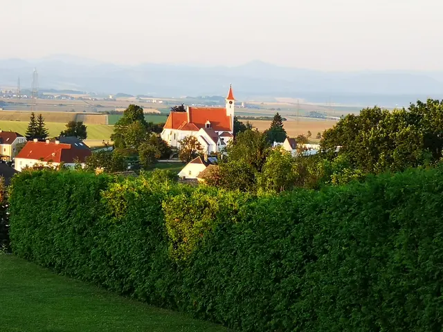 Foto: Patricia Grünauer