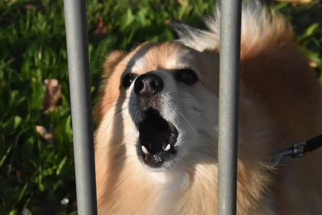 Foto: Michael Strini