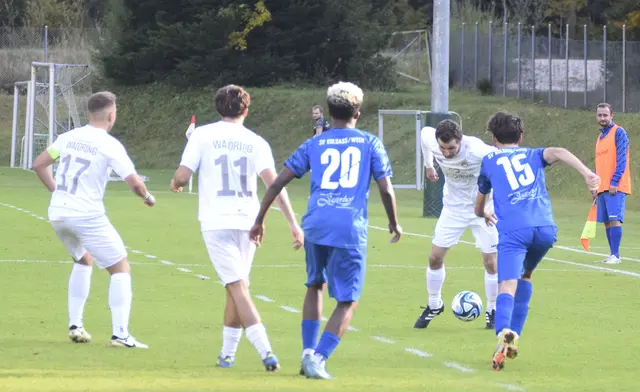 Foto: Nikolaus Kogler