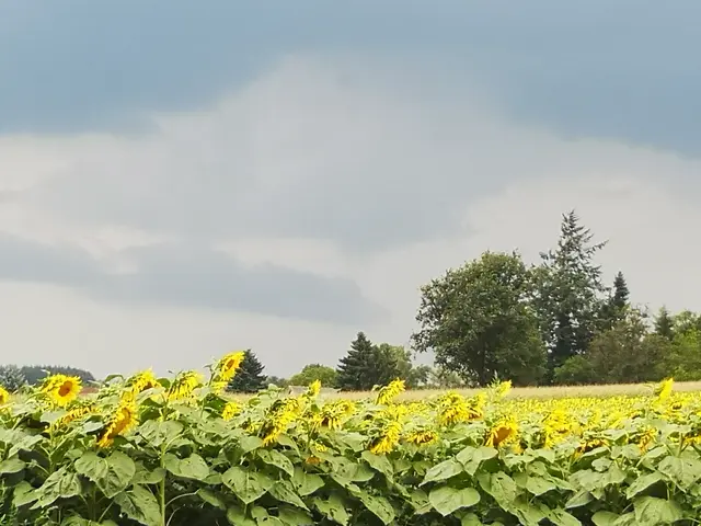 Foto: Patricia Grünauer