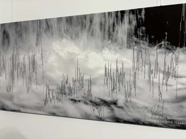 Das gab es noch nie: Musik in der Fotografie. | Foto: Zezula