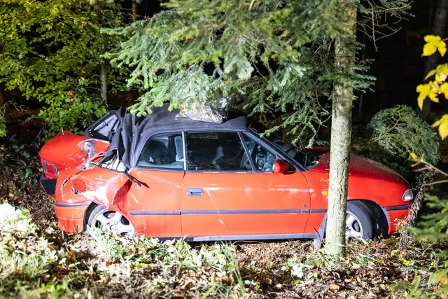 Foto: TEAM FOTOKERSCHI / FRANZ PLECHINGER