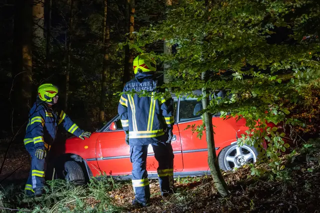 Foto: TEAM FOTOKERSCHI / FRANZ PLECHINGER