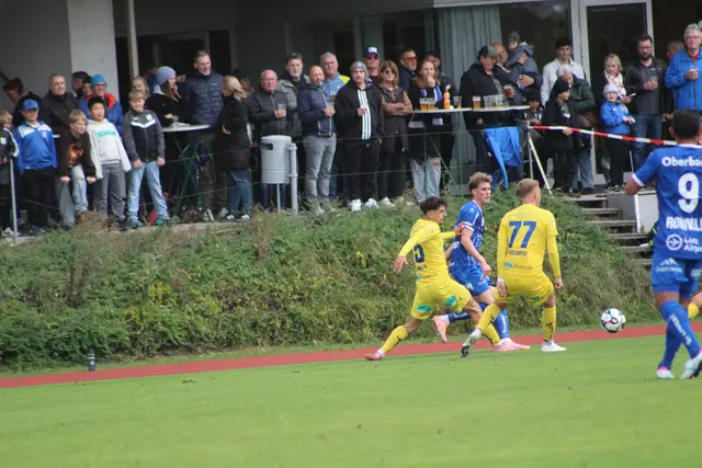 FC Blau-Weiß Linz - First Vienna FC 1894 | Foto: MeinBezirk Perg/Köck