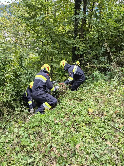 Eine ältere Person war aus bislang unbekannten Gründen abgestürzt. | Foto: FF Bruck an der Mur