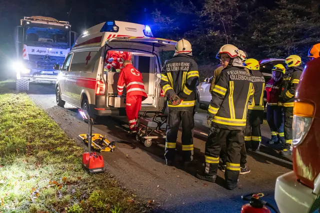 Foto: TEAM FOTOKERSCHI / FRANZ PLECHINGER