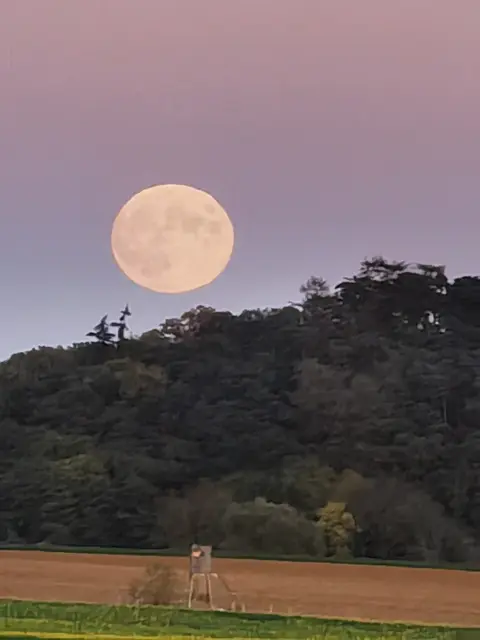 Neidlings Mond | Foto: Patricia Grünauer