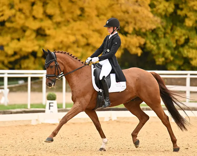 Stefanie Auinger &amp; Dio D’oro waren wieder erfolgreich. | Foto: Team myrtill