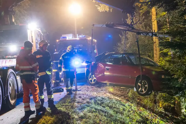 Foto: TEAM FOTOKERSCHI / FRANZ PLECHINGER