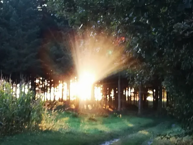 Foto: Patricia Grünauer