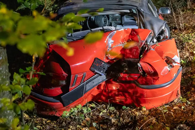 Foto: TEAM FOTOKERSCHI / FRANZ PLECHINGER