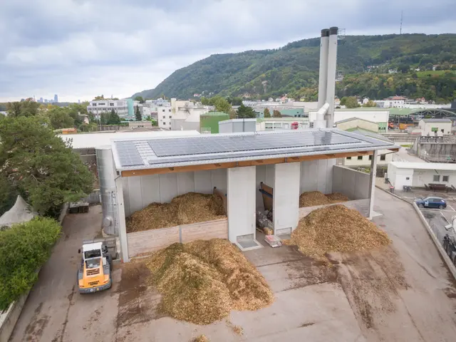 Das Biomasseheizwerk im Gewerbegebiet von Klosterneuburg wurde 2020 errichtet und hat eine Leistung von 9 MW. | Foto: EVN