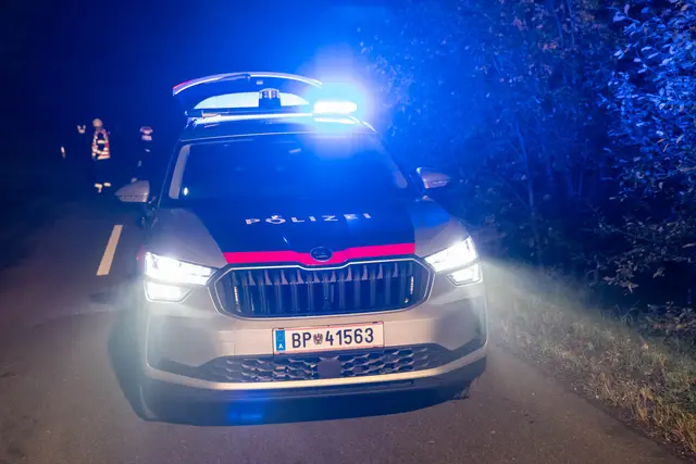 Foto: TEAM FOTOKERSCHI / FRANZ PLECHINGER