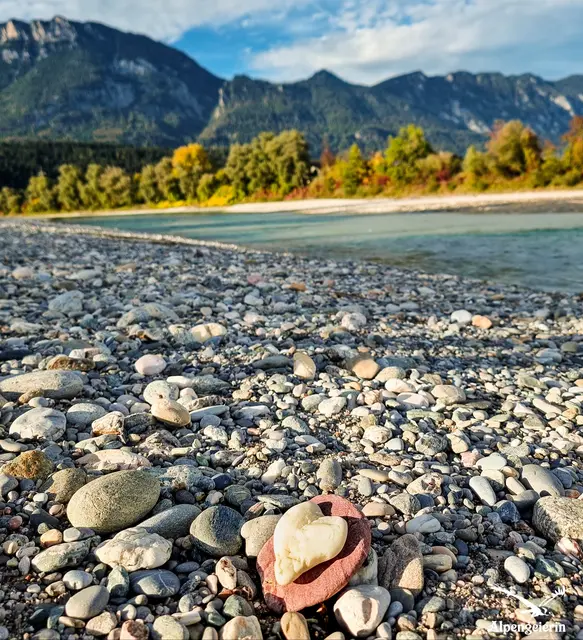 Foto: Janet Bleiker/ Alpengeierin