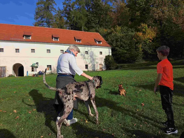 Gelungener erster Tierschutzwandertag von Idefix in Leoben | Foto: Tierschutzverein Idefix