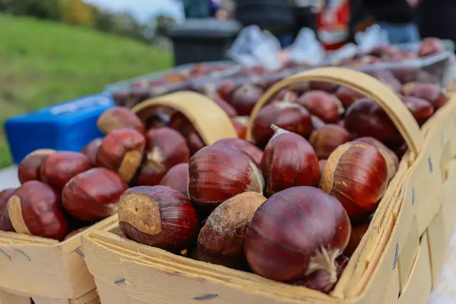 Foto: Alejandra Ortiz