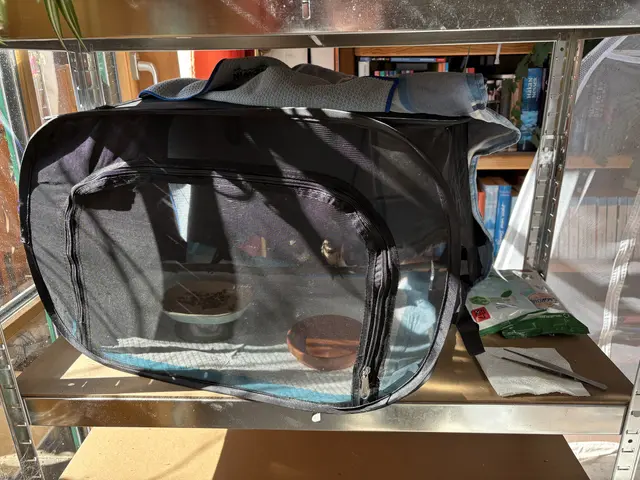 Foto: Nicole Hettegger