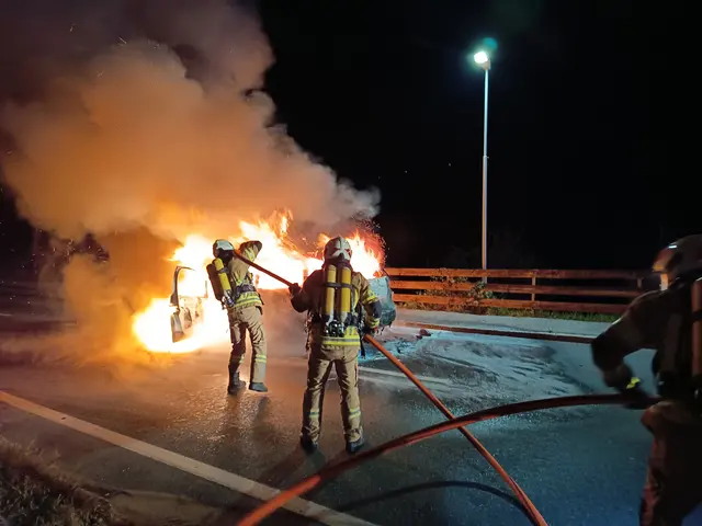 Die Feuerwehr hatte im Pitztal alle Hände voll zu tun. | Foto: FF Pitztal