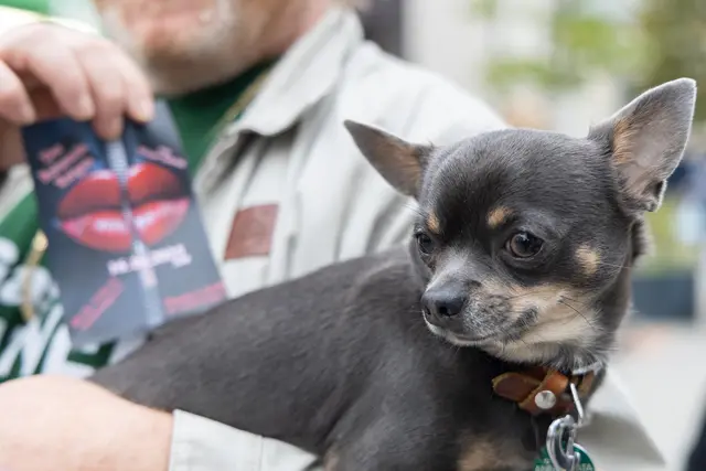 Foto: René Brunhölzl/MeinBezirk
