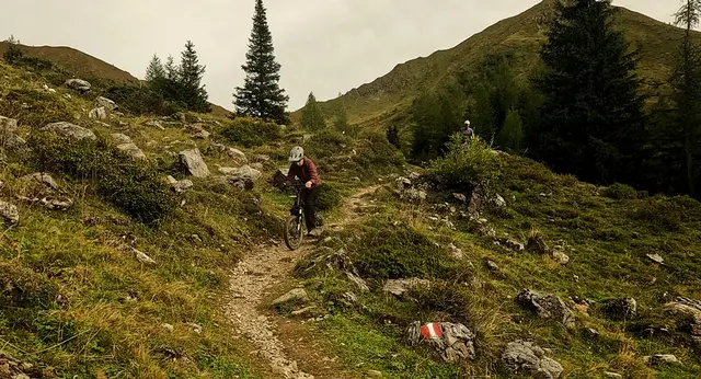 Foto: Nico Forchthammer