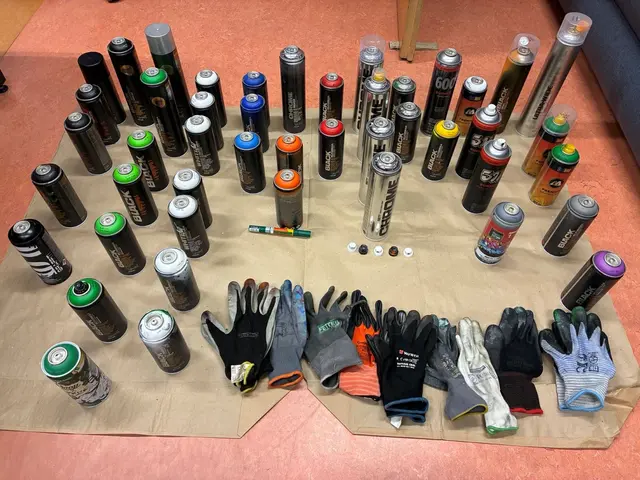 21 schwere Sachbeschädigungen durch Graffiti in den Bezirken Gänserndorf und Mistelbach geklärt. | Foto: LPD NÖ