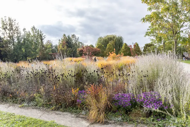 Foto: René Brunhölzl/MeinBezirk