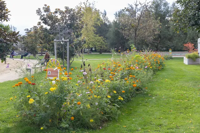 Foto: René Brunhölzl/MeinBezirk