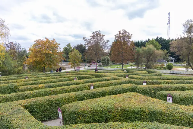 Foto: René Brunhölzl/MeinBezirk